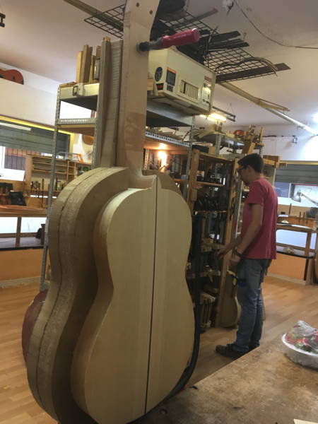 Guitar