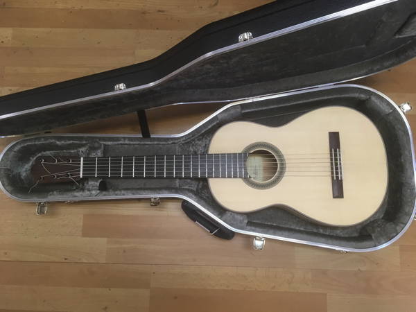 Guitar
