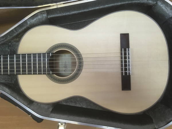 Guitar