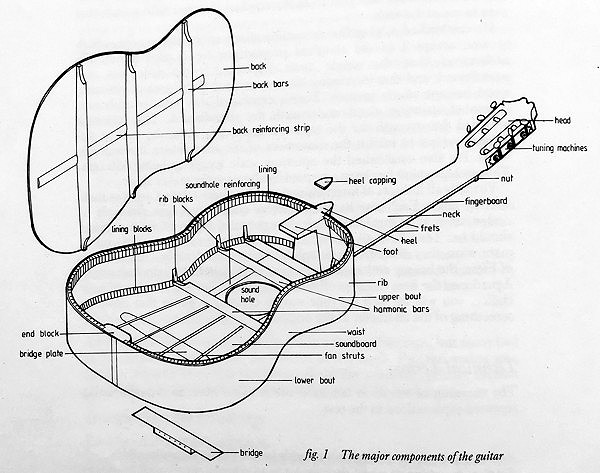 Guitar